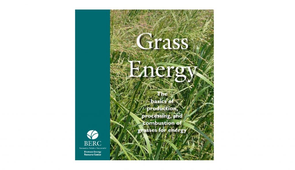 Grass as biomass fuel source